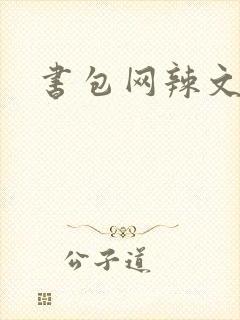 书包网辣文高h封面