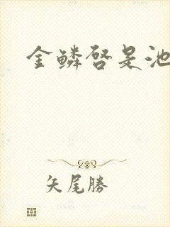 金鳞启是池中物封面