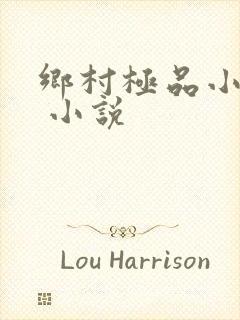 乡村极品小神医 小说