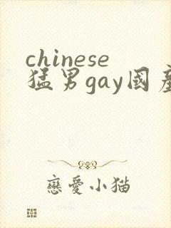 chinese猛男gay国产video