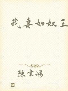 我妻如奴王琳封面