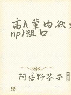 高h荤肉欲文(np)粗口