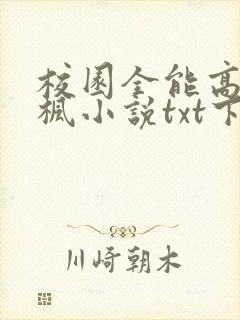 校园全能高手季枫小说txt下载封面