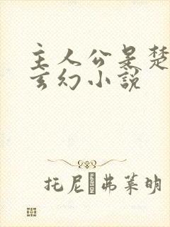 主人公是楚风的玄幻小说