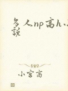 多人np高h小说