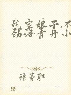 我家娘子,不对劲洛青舟小说