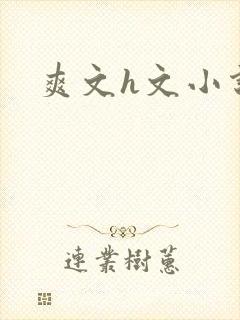 爽文h文小说