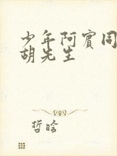 少年阿宾同人之胡先生封面