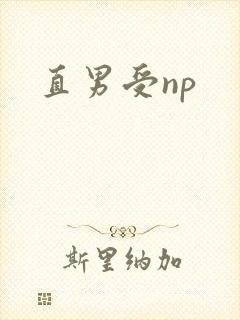 直男受np封面