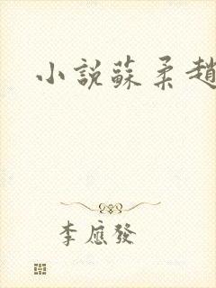 小说苏柔赵刚