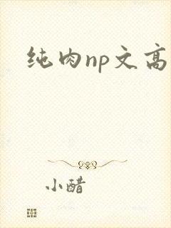 纯肉np文高h