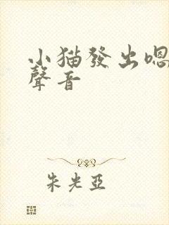 小猫发出嗯哼的声音