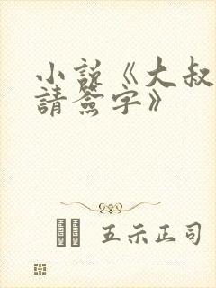 小说《大叔离婚请签字》