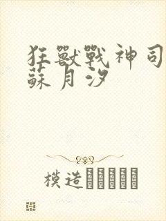 狂兽战神司空靖苏月汐