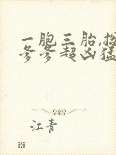 一胞三胎,总裁爹爹超凶猛免费阅读