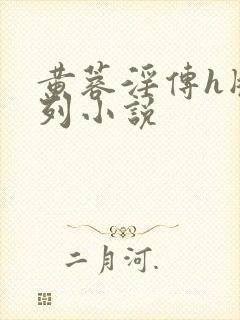 黄蓉淫传h版系列小说