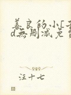 善良的小[子hd无删减免费封面