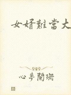 女婿难当大结局
