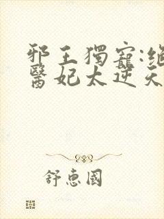 邪王独宠:绝色医妃太逆天