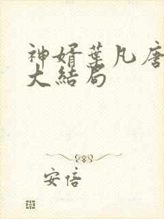神婿叶凡唐若雪大结局封面