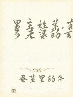 男主姓叶,有很多老婆的玄幻小说