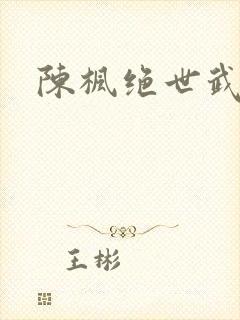 陈枫绝世武魂