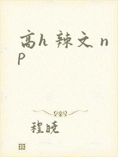 高h 辣文 np