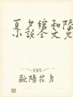 夏夕绾和陆寒霆小说全文免费阅读封面