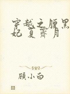穿越之腹黑世子妃 夏霁月