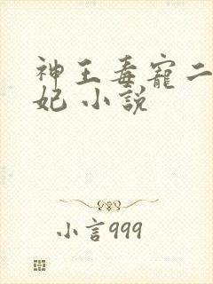 神王毒宠二嫁王妃 小说