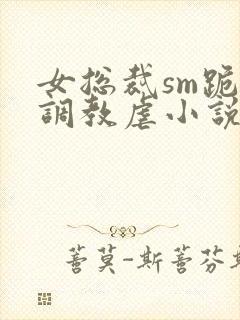 女总裁sm跪爬调教虐小说封面