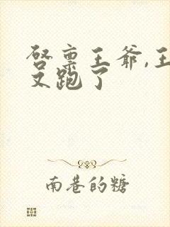 启禀王爷,王妃又跑了