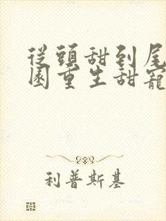 从头甜到尾的校园重生甜宠文