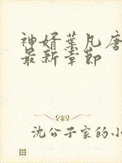 神婿叶凡唐若雪最新章节封面