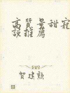 高质量甜宠文小说推荐