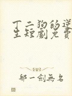 丁二狗的逆袭人生短剧免费