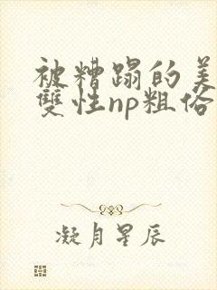 被糟蹋的美人(双性np粗俗封面