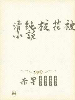 清纯校花被调教小说