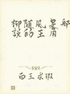 柳随风是哪部小说的主角