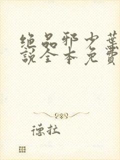 绝品邪少叶潇小说全本免费下载