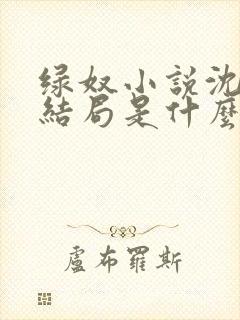 绿奴小说沈哥大结局是什么