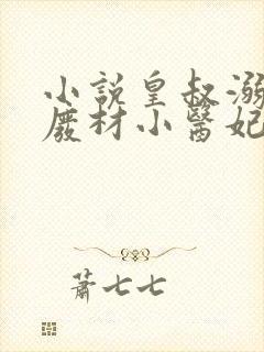 小说皇叔溺宠:废材小医妃全文