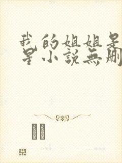 我的姐姐是大明星小说无删减版