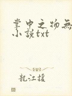 掌中之物无删减小说txt