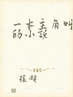 一本主角叫林凡的小说