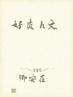 好爽 h文