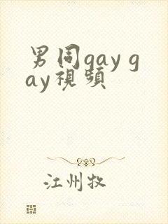 男同gay gay视频
