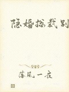 隐婚总裁别太坏
