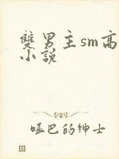 双男主sm高h小说
