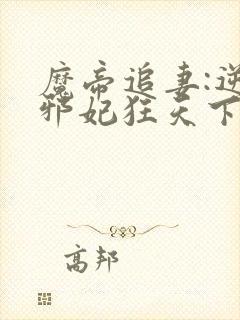 魔帝追妻:逆天邪妃狂天下